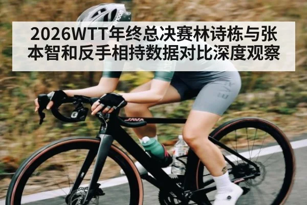 2026WTT年终总决赛林诗栋与张本智和反手相持数据对比深度观察