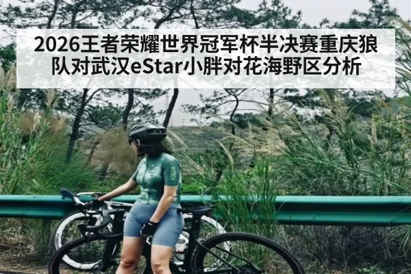 2026王者荣耀世界冠军杯半决赛重庆狼队对武汉eStar小胖对花海野区分析